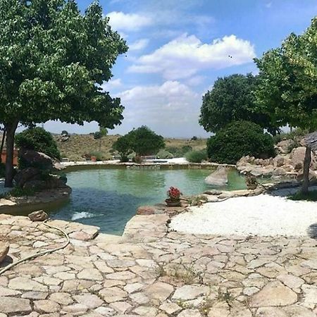 Finca El Cerco A 5M De Puy Du Fou Y 10M A Casco Antiguo De Toledo Βίλα Argés Εξωτερικό φωτογραφία