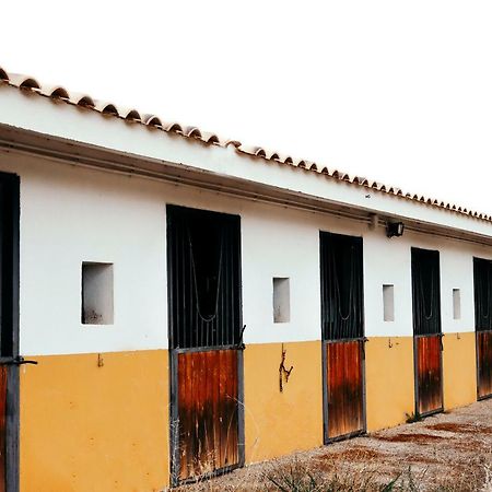 Finca El Cerco A 5M De Puy Du Fou Y 10M A Casco Antiguo De Toledo Βίλα Argés Εξωτερικό φωτογραφία