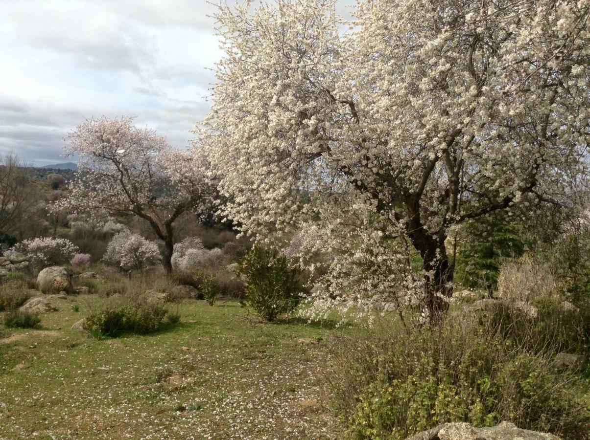 Finca El Cerco A 5M De Puy Du Fou Y 10M A Casco Antiguo De Toledo Βίλα Argés Εξωτερικό φωτογραφία