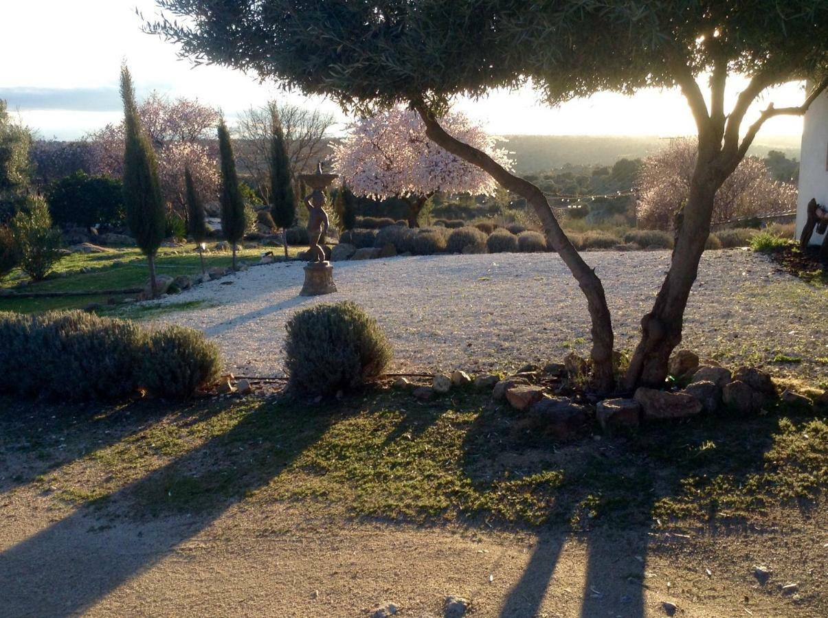 Finca El Cerco A 5M De Puy Du Fou Y 10M A Casco Antiguo De Toledo Βίλα Argés Εξωτερικό φωτογραφία