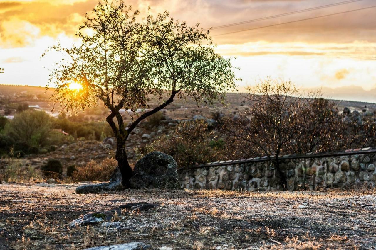 Finca El Cerco A 5M De Puy Du Fou Y 10M A Casco Antiguo De Toledo Βίλα Argés Εξωτερικό φωτογραφία