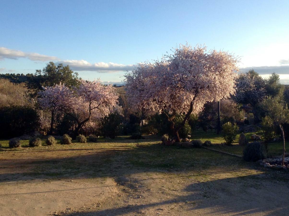 Finca El Cerco A 5M De Puy Du Fou Y 10M A Casco Antiguo De Toledo Βίλα Argés Εξωτερικό φωτογραφία
