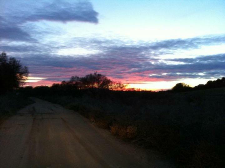 Finca El Cerco A 5M De Puy Du Fou Y 10M A Casco Antiguo De Toledo Βίλα Argés Εξωτερικό φωτογραφία