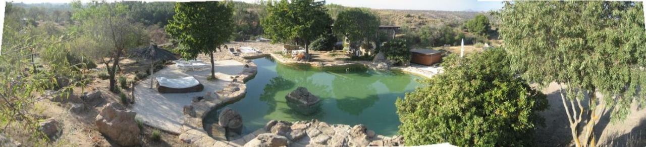 Finca El Cerco A 5M De Puy Du Fou Y 10M A Casco Antiguo De Toledo Βίλα Argés Εξωτερικό φωτογραφία