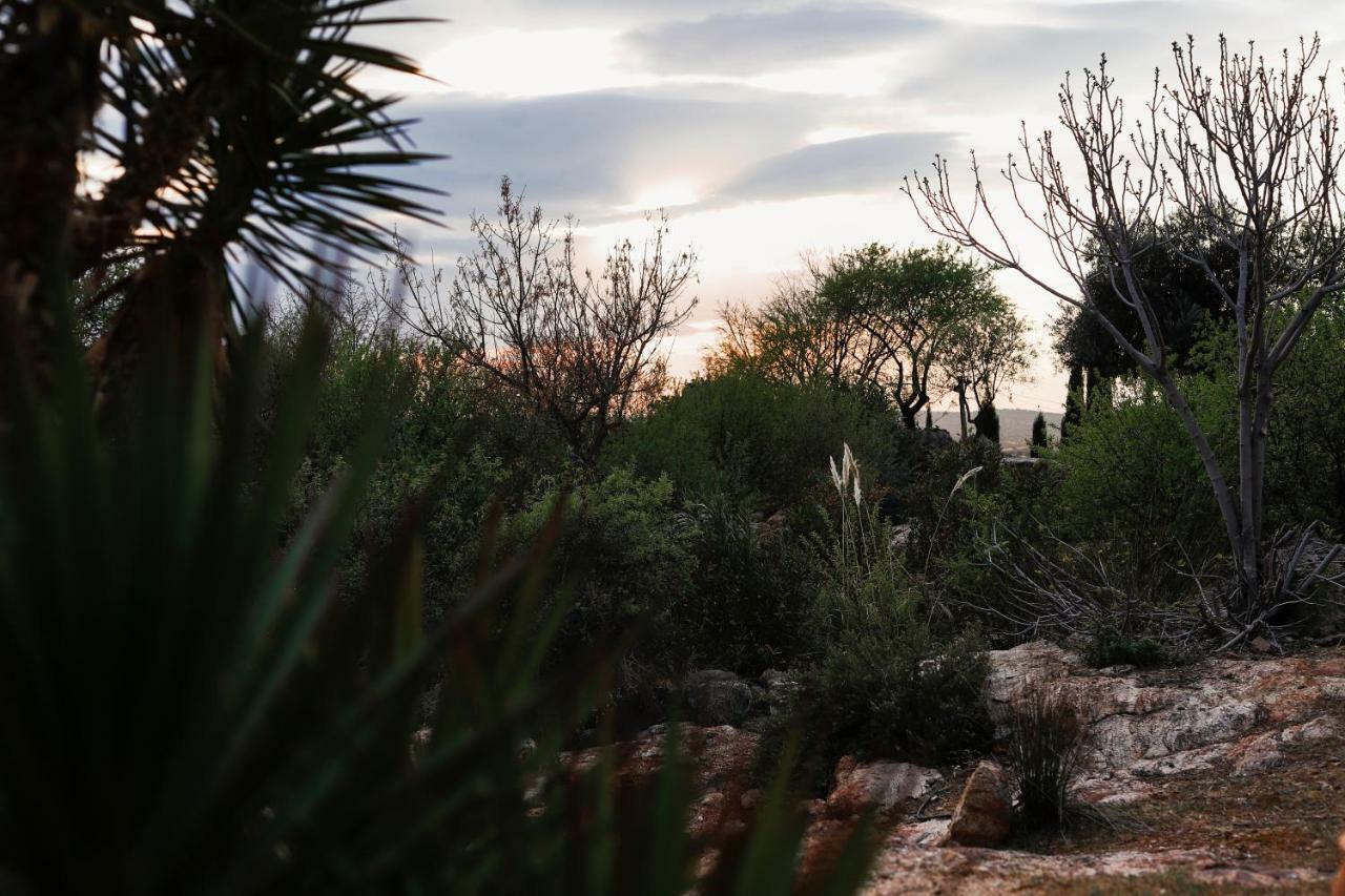 Finca El Cerco A 5M De Puy Du Fou Y 10M A Casco Antiguo De Toledo Βίλα Argés Εξωτερικό φωτογραφία